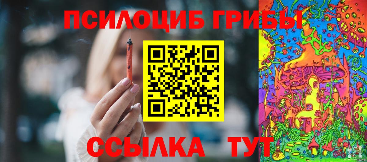 Галлюциногенные грибы GOLDEN TEACHER Октябрьский