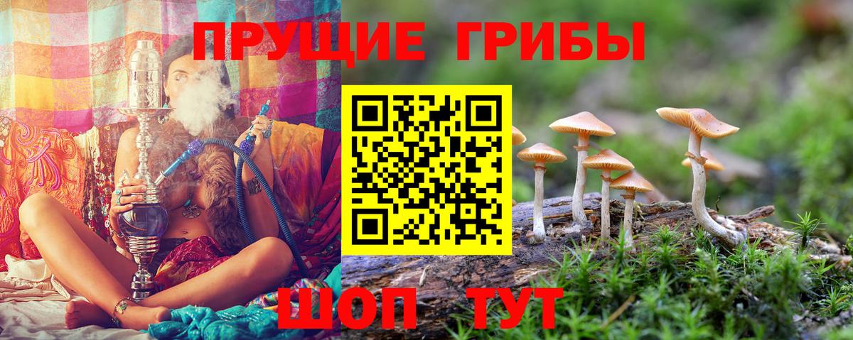 Октябрьский  Галлюциногенные грибы прущие грибы  Вход с VPN 